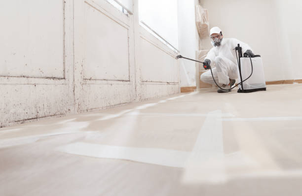 24/7 Emergency Attic Mold Removal experts in Hampton, MD