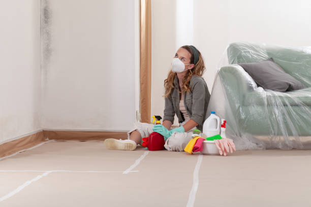 Reliable Mold Remediation contractor in Hampton, MD by Cheap Mold Removal